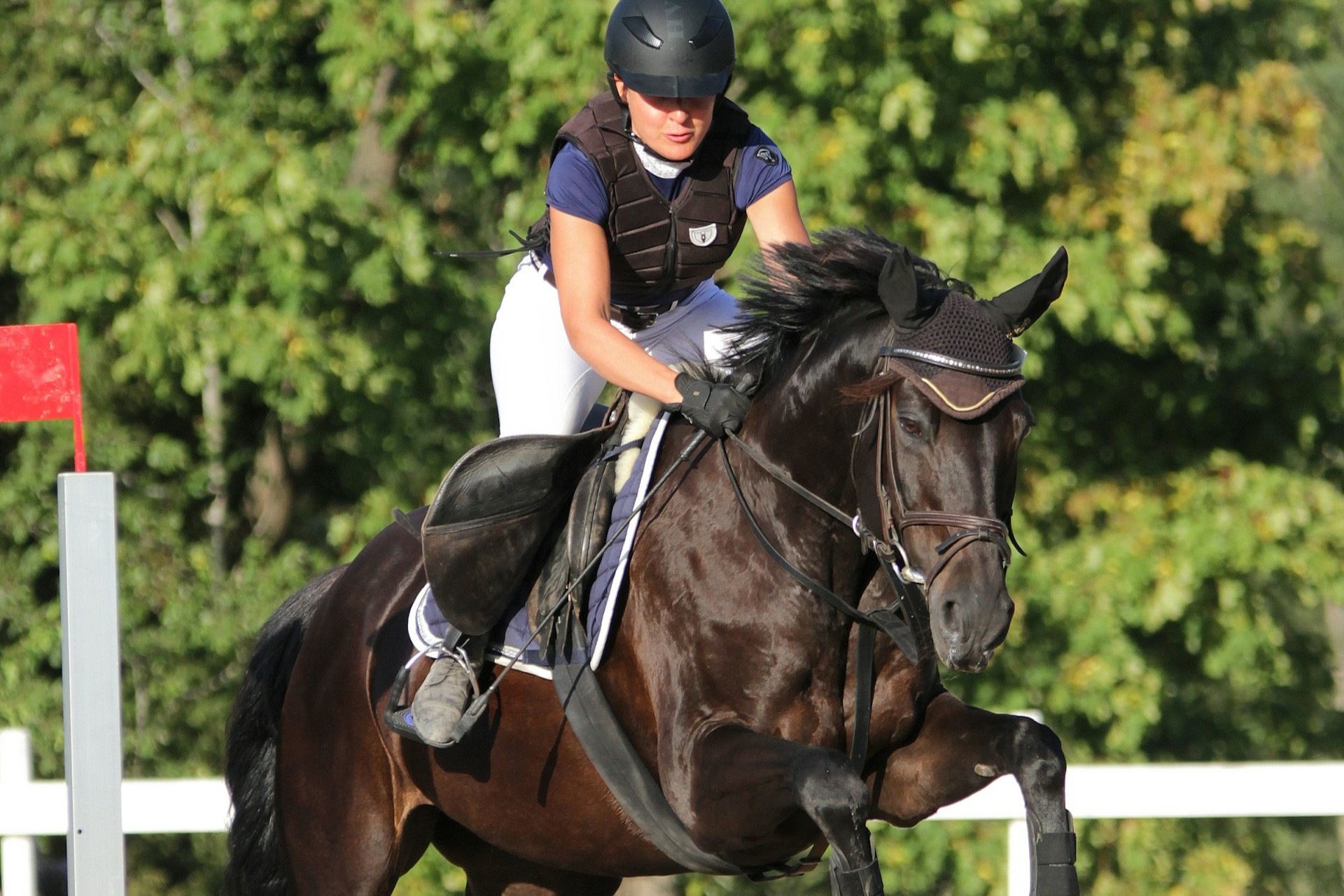 Longinese champions tour